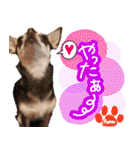 NIKE❤PUMA（個別スタンプ：23）