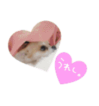 NIKE❤PUMA（個別スタンプ：24）