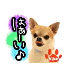 NIKE❤PUMA（個別スタンプ：25）