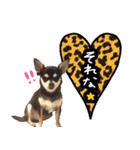 NIKE❤PUMA（個別スタンプ：38）