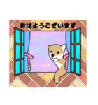 柴犬 さんちゃんスタンプ イラスト（個別スタンプ：1）