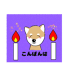 柴犬 さんちゃんスタンプ イラスト（個別スタンプ：4）