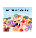 柴犬 さんちゃんスタンプ イラスト（個別スタンプ：5）