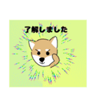 柴犬 さんちゃんスタンプ イラスト（個別スタンプ：7）