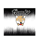 柴犬 さんちゃんスタンプ イラスト（個別スタンプ：11）