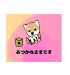 柴犬 さんちゃんスタンプ イラスト（個別スタンプ：12）