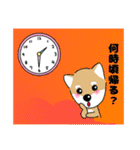 柴犬 さんちゃんスタンプ イラスト（個別スタンプ：20）