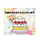 柴犬 さんちゃんスタンプ イラスト（個別スタンプ：24）