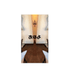 シンメトリーなスタンプ2（個別スタンプ：8）