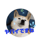 みんなと一緒 9（個別スタンプ：3）