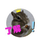 みんなと一緒 9（個別スタンプ：7）