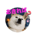 みんなと一緒 9（個別スタンプ：9）