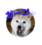みんなと一緒 9（個別スタンプ：11）