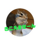 みんなと一緒 9（個別スタンプ：12）