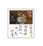 みんなと一緒 9（個別スタンプ：15）