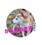 みんなと一緒 9（個別スタンプ：16）