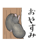 かわいいふわほっぺエゾモモンガの日常（個別スタンプ：21）