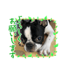 ふれぶるのはなちゃん（個別スタンプ：6）