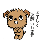 続☆ブリュッセルグリフォンちゃん（個別スタンプ：2）
