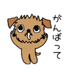 続☆ブリュッセルグリフォンちゃん（個別スタンプ：4）