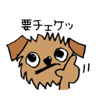 続☆ブリュッセルグリフォンちゃん（個別スタンプ：8）
