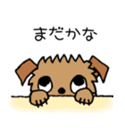 続☆ブリュッセルグリフォンちゃん（個別スタンプ：11）