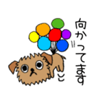 続☆ブリュッセルグリフォンちゃん（個別スタンプ：12）