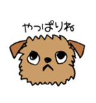 続☆ブリュッセルグリフォンちゃん（個別スタンプ：16）