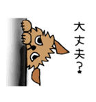 続☆ブリュッセルグリフォンちゃん（個別スタンプ：19）