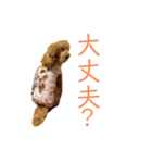 りゅう＆ジェシー（個別スタンプ：2）
