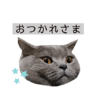 コムギ日記のフォロワー様スタンプ④（個別スタンプ：2）