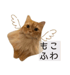 コムギ日記のフォロワー様スタンプ④（個別スタンプ：30）