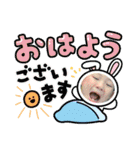可愛いけんしんのスタンプ2（個別スタンプ：3）