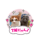 あむちゃんNo.3（個別スタンプ：7）