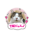ほのぼの系ライフ（個別スタンプ：4）