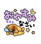 チワワのリリィさん(コスプレVer)（個別スタンプ：5）