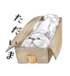 白猫クロ（個別スタンプ：4）