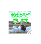 okiniiri no sticker（個別スタンプ：10）