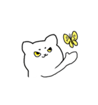 It's クレイジーキャット（個別スタンプ：13）