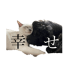 もこの愉快な仲間達（個別スタンプ：8）