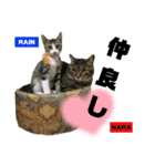 みらいねこ横濱②。（個別スタンプ：34）