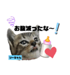 みらいねこ横濱②。（個別スタンプ：36）