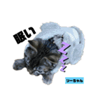 みらいねこ横濱②。（個別スタンプ：39）