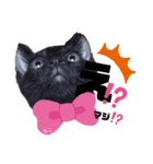 みらいねこ横濱④（個別スタンプ：2）