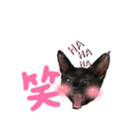 みらいねこ横濱④（個別スタンプ：7）