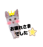 みらいねこ横濱④（個別スタンプ：10）