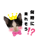 みらいねこ横濱④（個別スタンプ：15）
