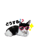 みらいねこ横濱④（個別スタンプ：21）