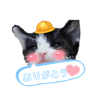 みらいねこ横濱④（個別スタンプ：28）