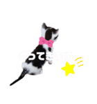 みらいねこ横濱④（個別スタンプ：31）